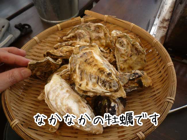 �L�v�ہ@���y������