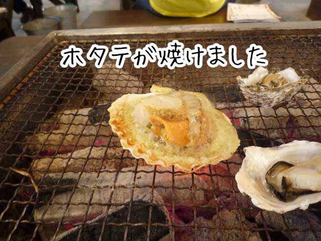 �������y�����@�L�v�ہ@�z�^�e