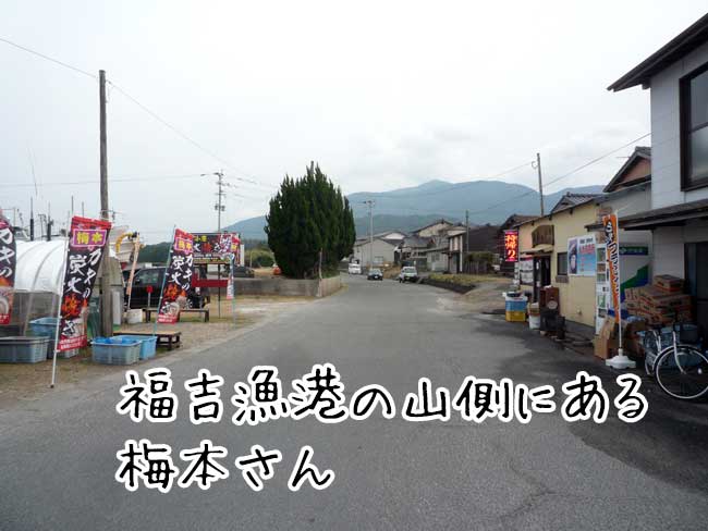 ���g���`�̉��y�����A�~�{