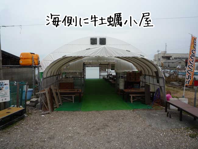 ���g���`�̉��y�����A�~�{