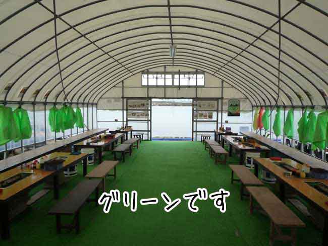 �~�{�@�������y����