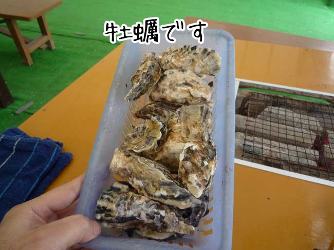 �ꗱ���y�@���g���`�̉��y�����A�~�{