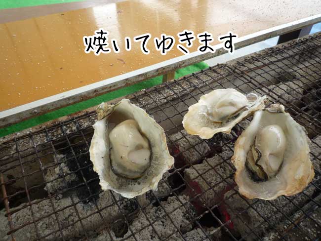 �ꗱ���y�@���g���`�̉��y�����A�~�{