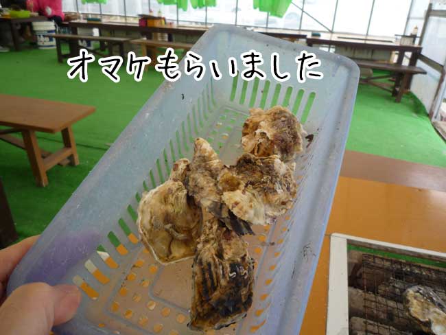 ���g���`�̉��y�����A�~�{