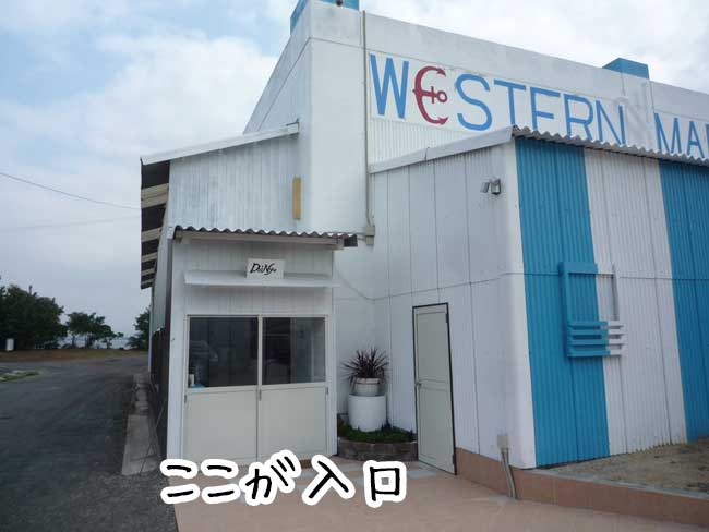 ��������̉��y�����@�E�G�X�^���}���[������