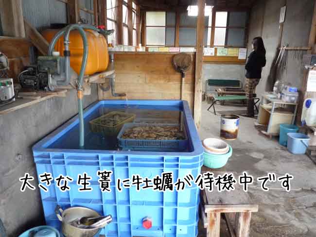 ���y�̋g���̏Ă����y